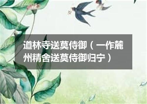 道林寺送莫侍御（一作麓州精舍送莫侍御归宁）