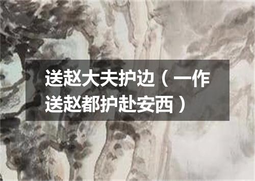 送赵大夫护边（一作送赵都护赴安西）
