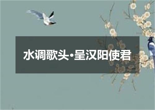 水调歌头·呈汉阳使君