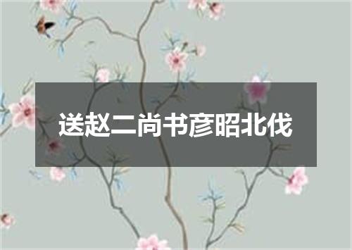 送赵二尚书彦昭北伐