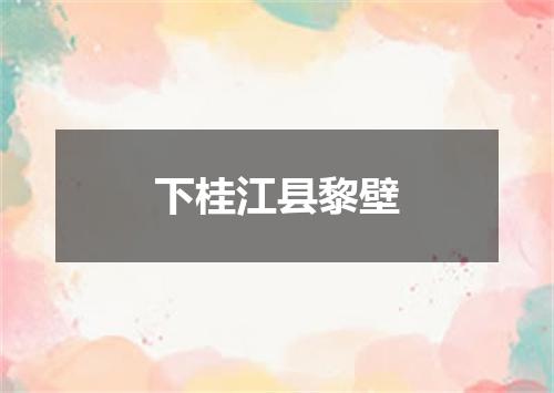 下桂江县黎壁