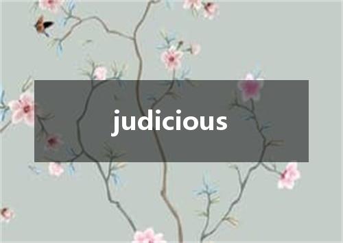 judicious是什么意思