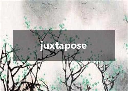 juxtapose是什么意思