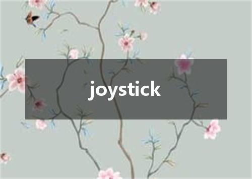 joystick是什么意思