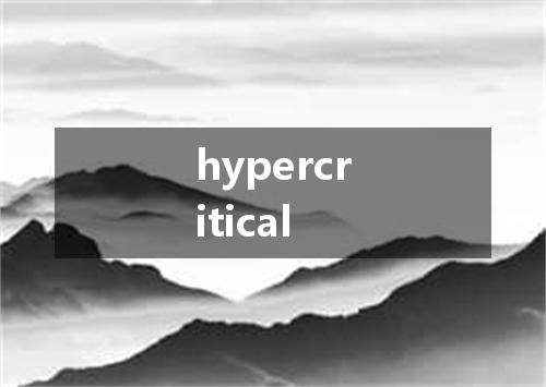 hypercritical是什么意思