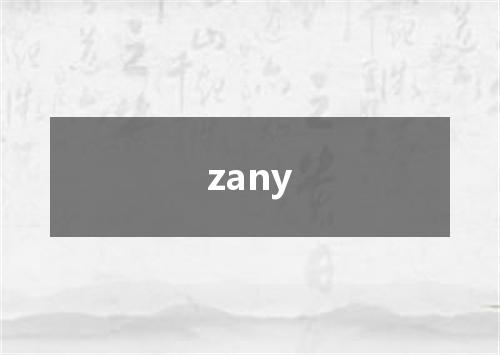 zany是什么意思