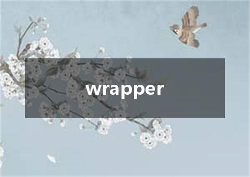 wrapper是什么意思