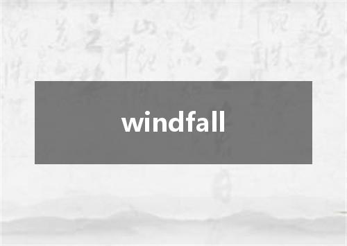 windfall是什么意思