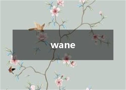 wane是什么意思