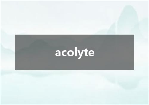 acolyte是什么意思