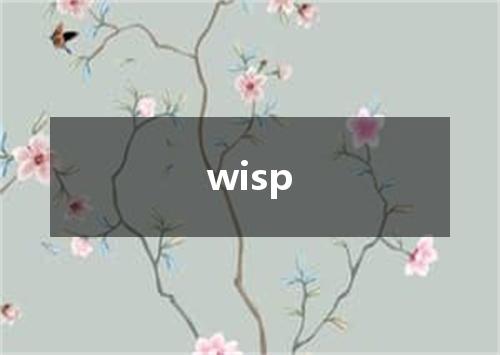 wisp是什么意思