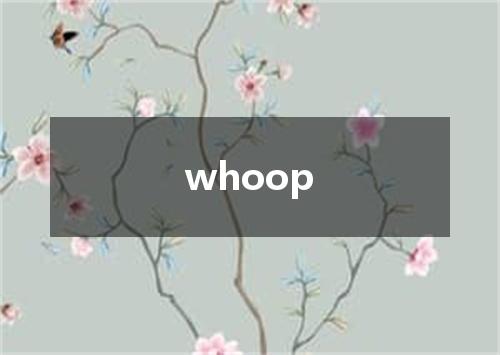 whoop是什么意思