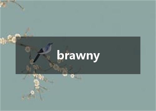 brawny是什么意思