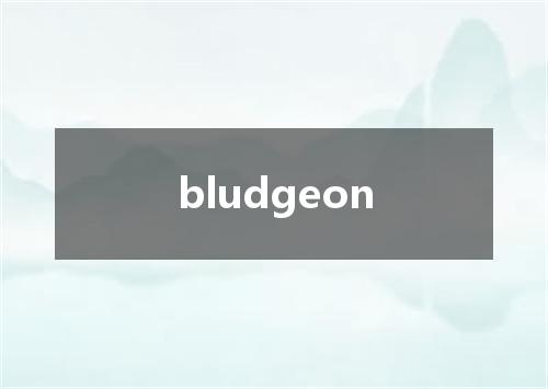 bludgeon是什么意思