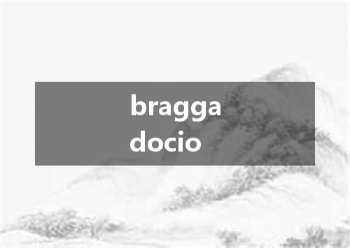 braggadocio是什么意思