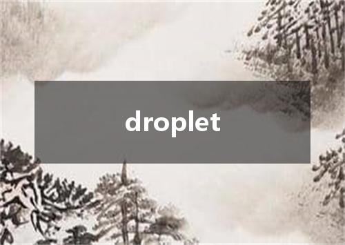droplet是什么意思