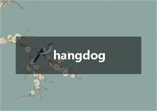 hangdog是什么意思