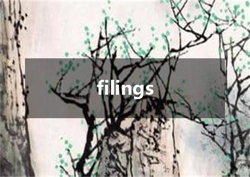 filings是什么意思