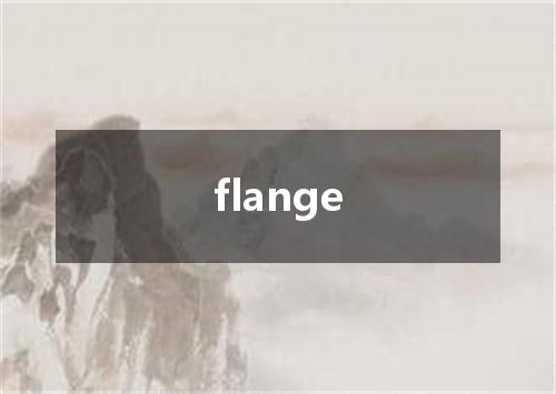 flange是什么意思