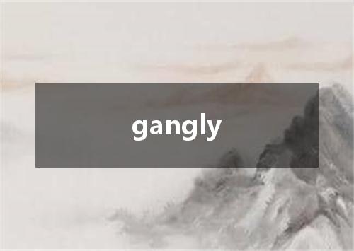 gangly是什么意思