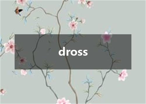 dross是什么意思