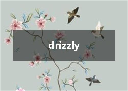 drizzly是什么意思