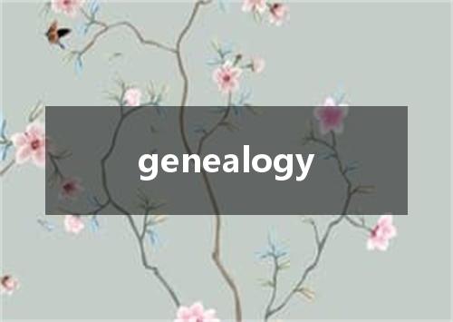 genealogy是什么意思