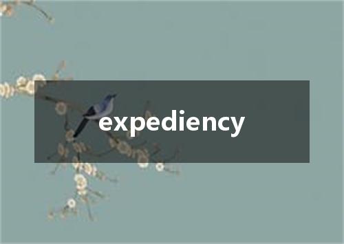 expediency是什么意思