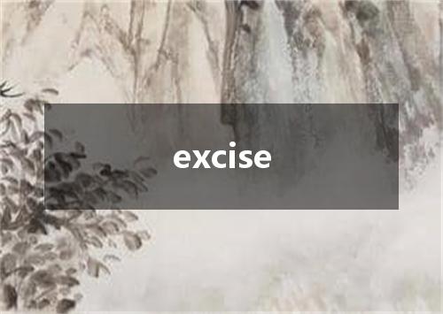 excise是什么意思