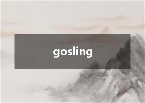 gosling是什么意思