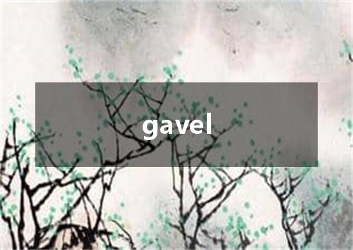 gavel是什么意思