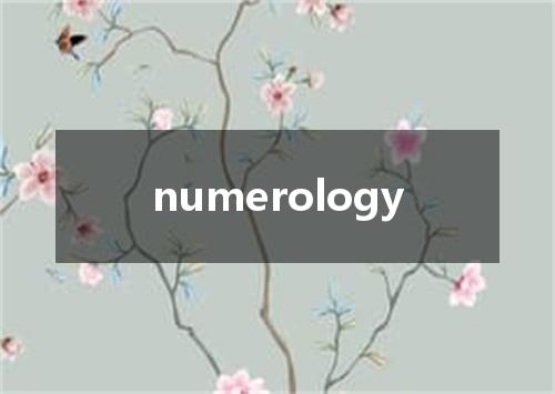 numerology是什么意思