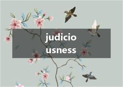 judiciousness是什么意思
