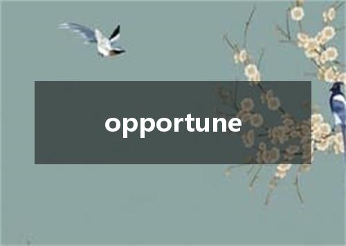 opportune是什么意思
