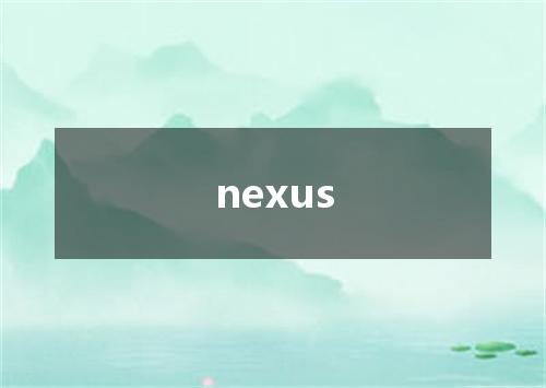 nexus是什么意思
