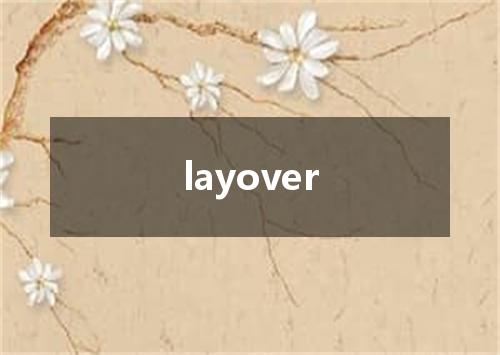 layover是什么意思
