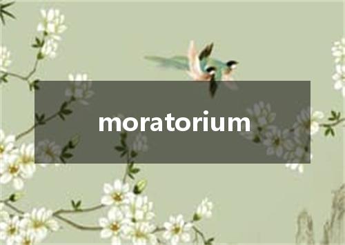 moratorium是什么意思