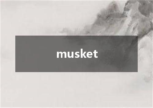 musket是什么意思