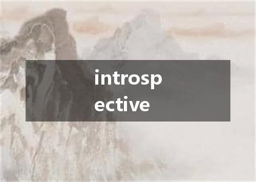 introspective是什么意思