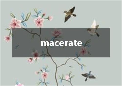 macerate是什么意思