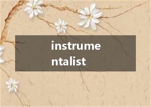 instrumentalist是什么意思