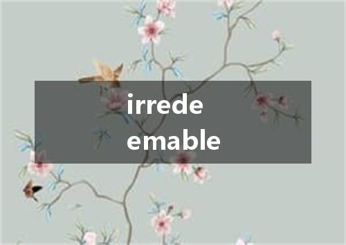 irredeemable是什么意思