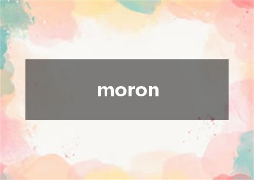 moron是什么意思
