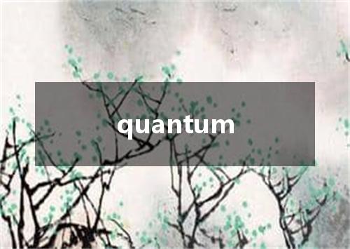 quantum是什么意思