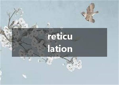 reticulation是什么意思