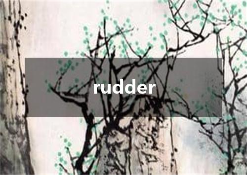 rudder是什么意思