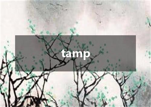 tamp是什么意思