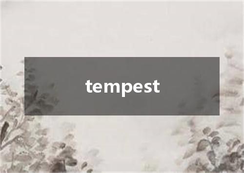 tempest是什么意思