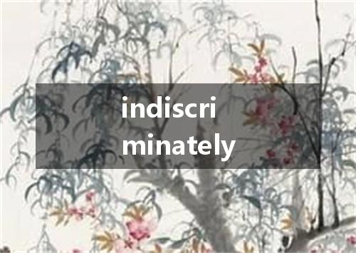indiscriminately是什么意思