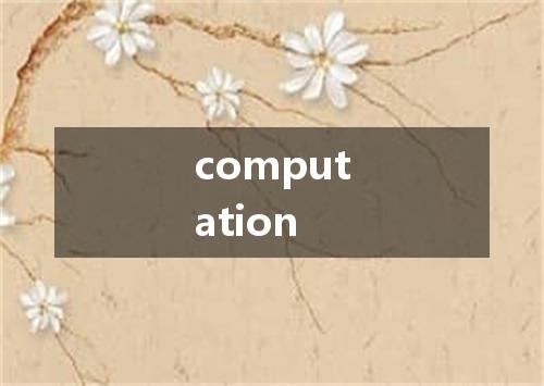 computation是什么意思